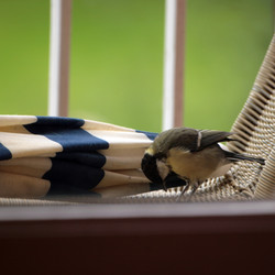 Similar image 8104061