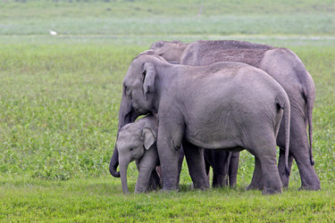 Similar image 8104068