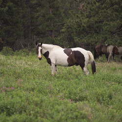 Similar image 8104073