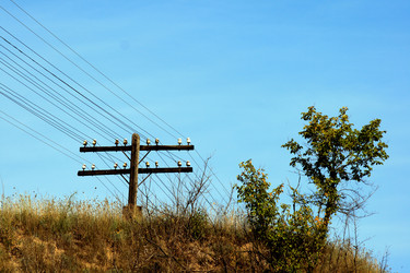 Similar image 8104076