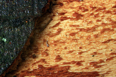 Similar image 8104078