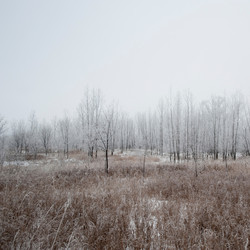 Similar image 8104091