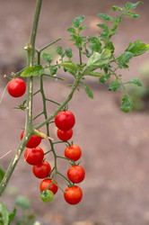 Similar image 8104096