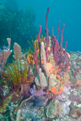 Similar image 8104099