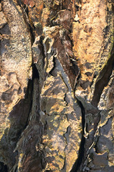 Similar image 8104106