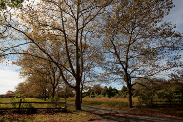 Similar image 8104108