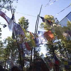 Similar image 8104109