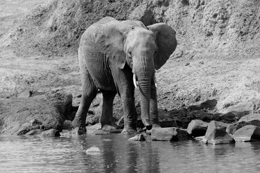 Similar image 8104110