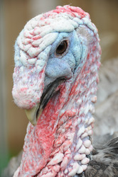 Similar image 8104115