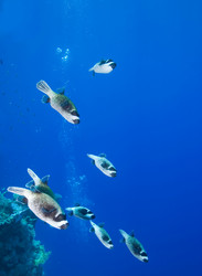 Similar image 8104137