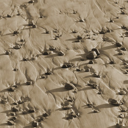 Similar image 8104139