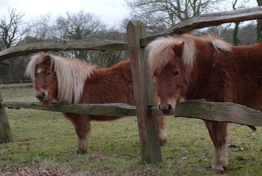 Similar image 8104154