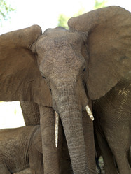 Similar image 8104169