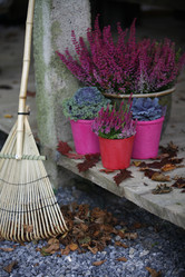 Similar image 8104172