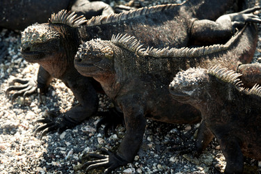 Similar image 8104193