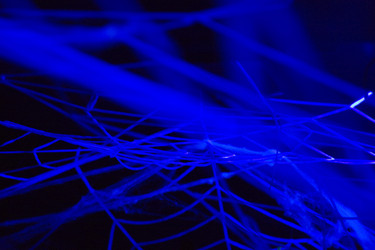 Similar image 8104195