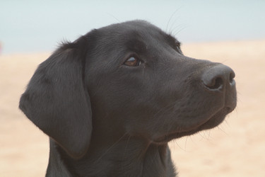 Similar image 8104200