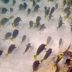 Similar image 8104225