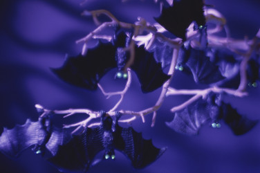 Similar image 8104228