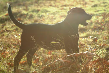 Similar image 8104233