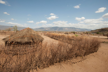 Similar image 8104245