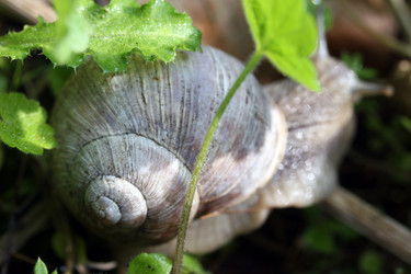 Similar image 8104251