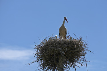 Similar image 8104274