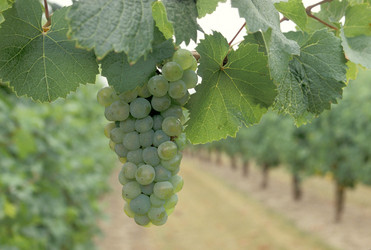 Similar image 8104284