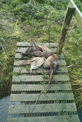 Similar image 8104288