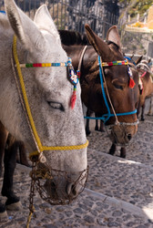 Similar image 8104289