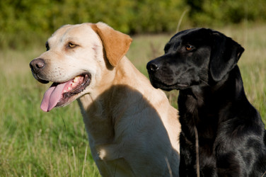 Similar image 8104295