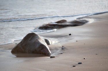 Similar image 8104296