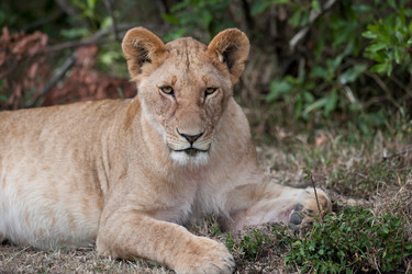 Similar image 8104300