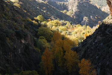 Similar image 8104310