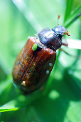 Similar image 8104314