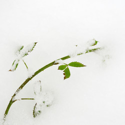 Similar image 8104328