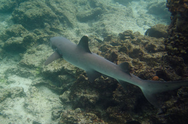 Similar image 8104336