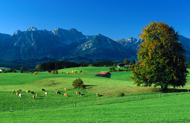 Similar image 8104341