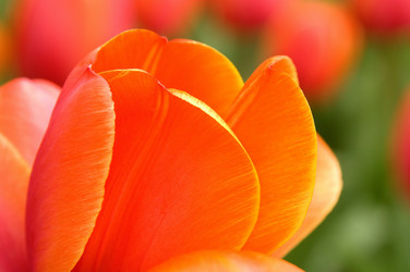 Similar image 8104345