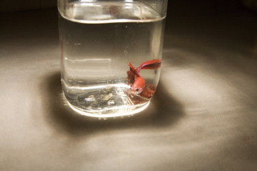 Similar image 8104346