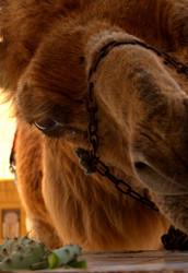 Similar image 8104347