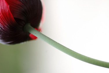 Similar image 8104354