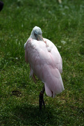 Similar image 8104358