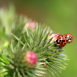 Similar image 8104363