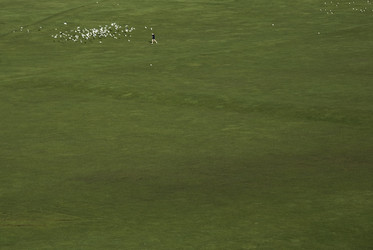 Similar image 8104379