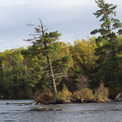 Similar image 8104380