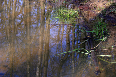 Similar image 8104383