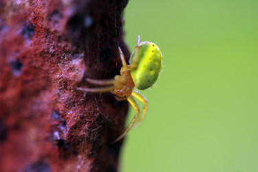 Similar image 8104392