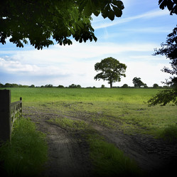 Similar image 8104395