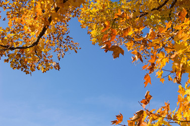 Similar image 8104404